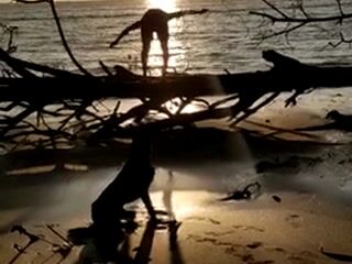 Beach with dog Roca