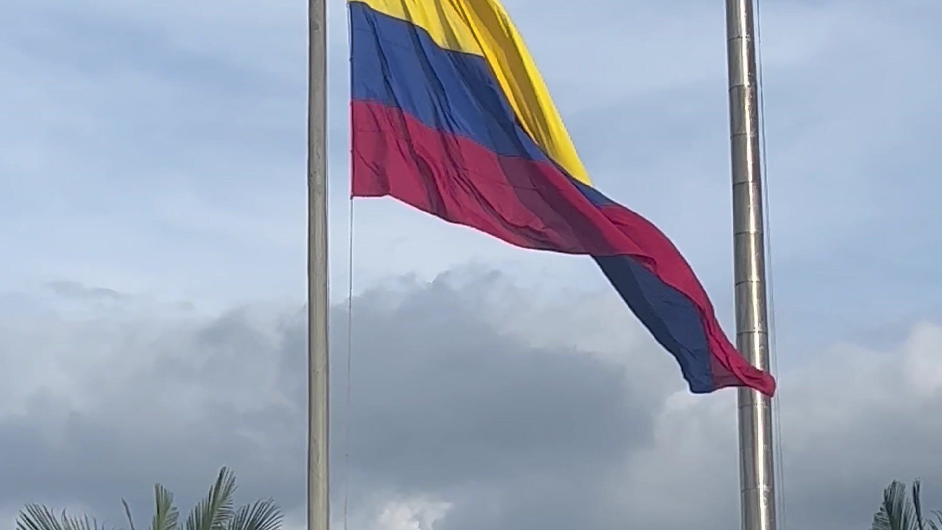 my colombia