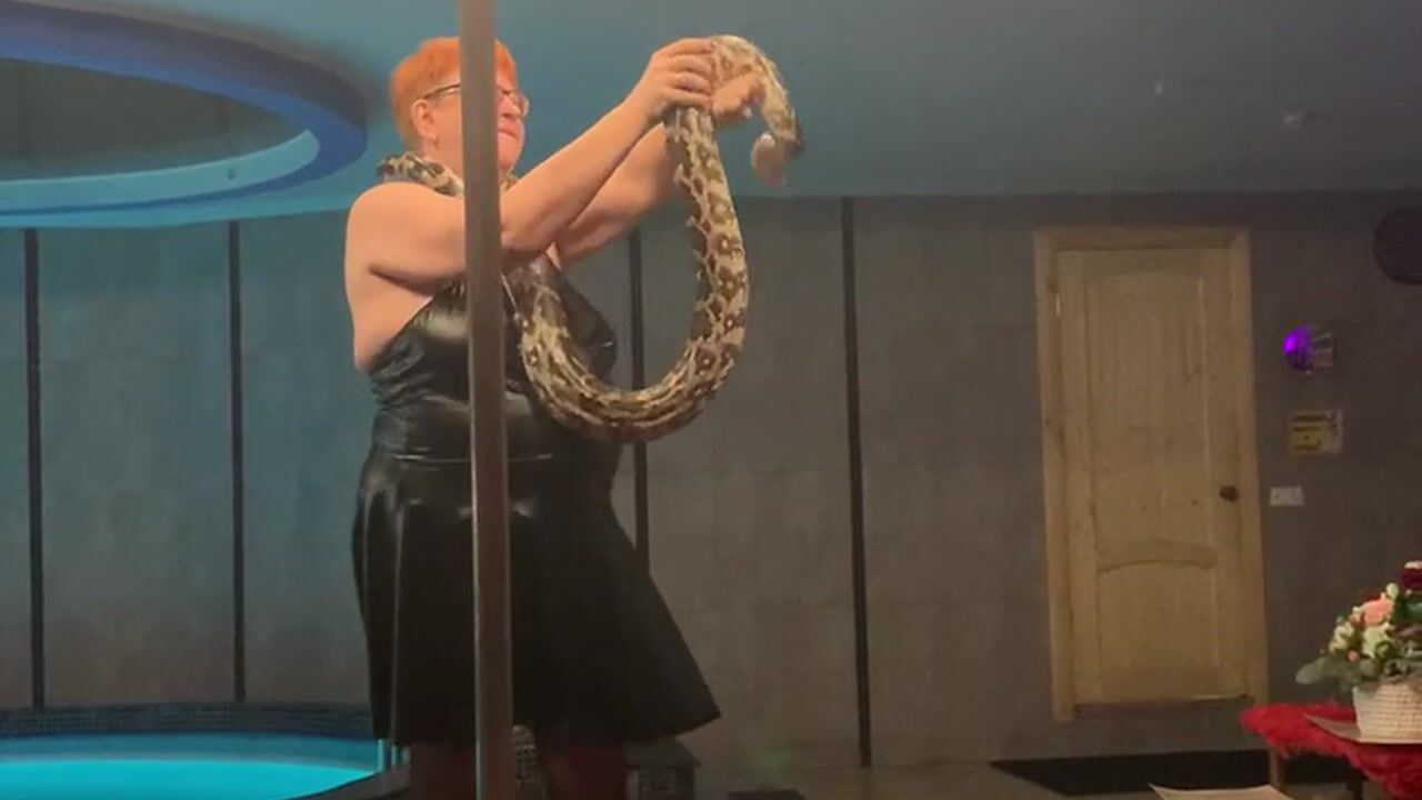 Dancing with a python