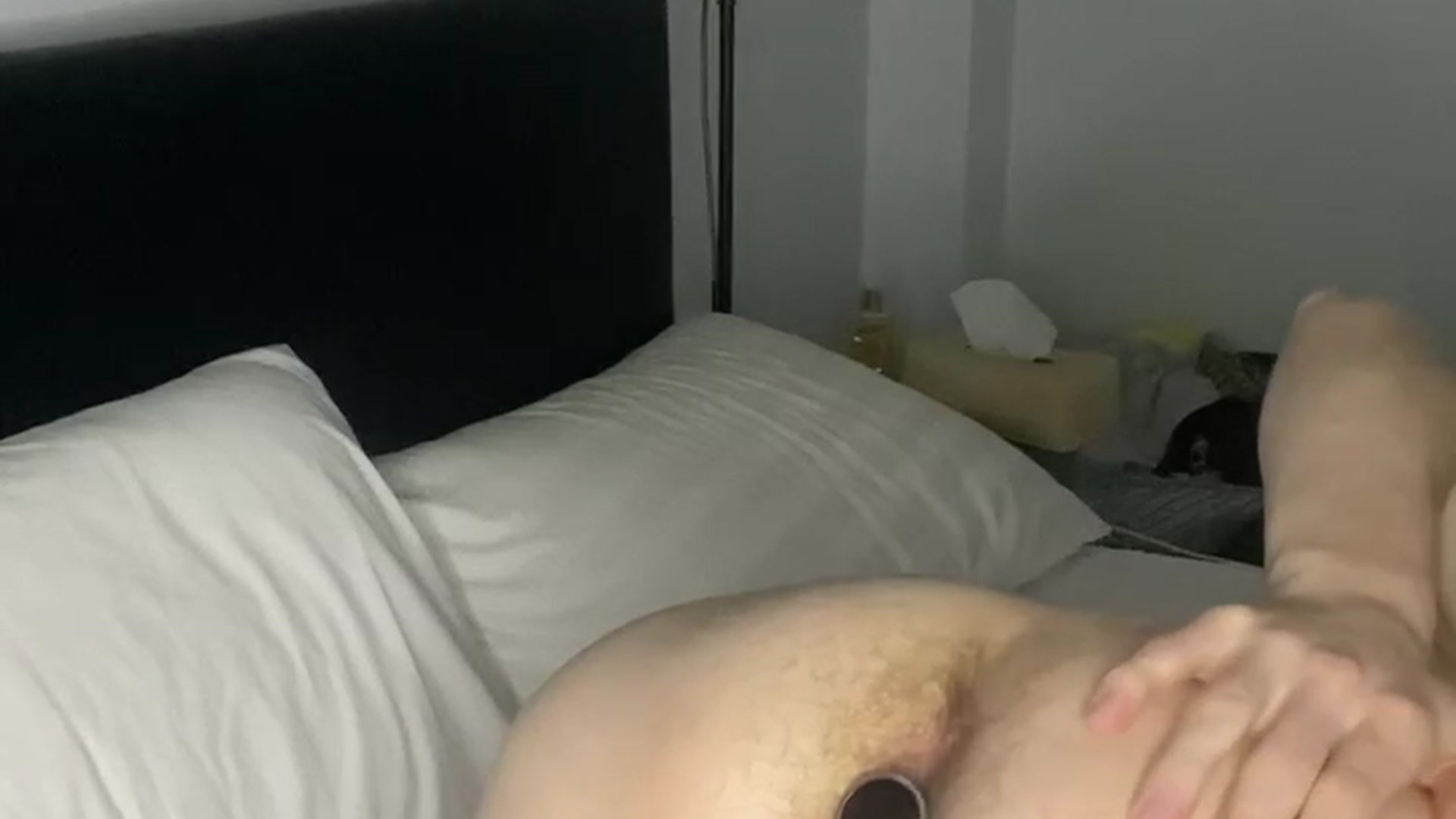 Ass play , anal plug in ass , A lot of cum , I didn’t cum 3 days