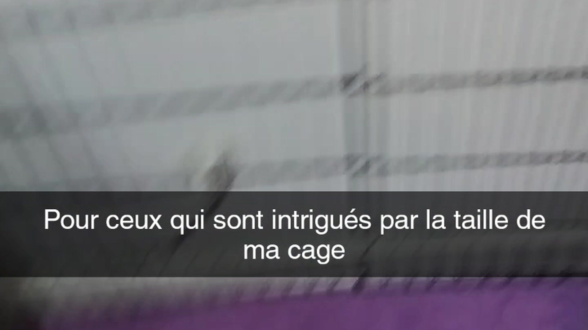 Aperçu rapide dans ma cage