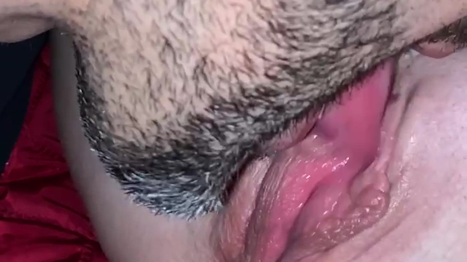 lick pussy