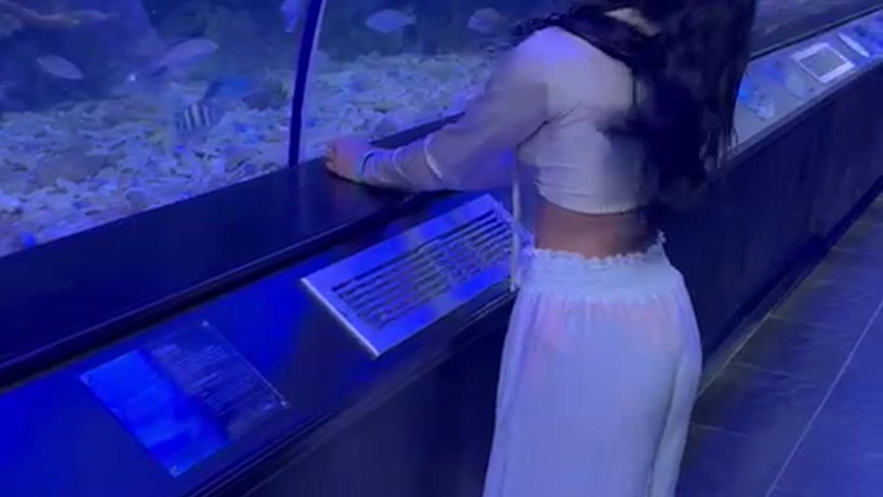 I loved the aquarium♥