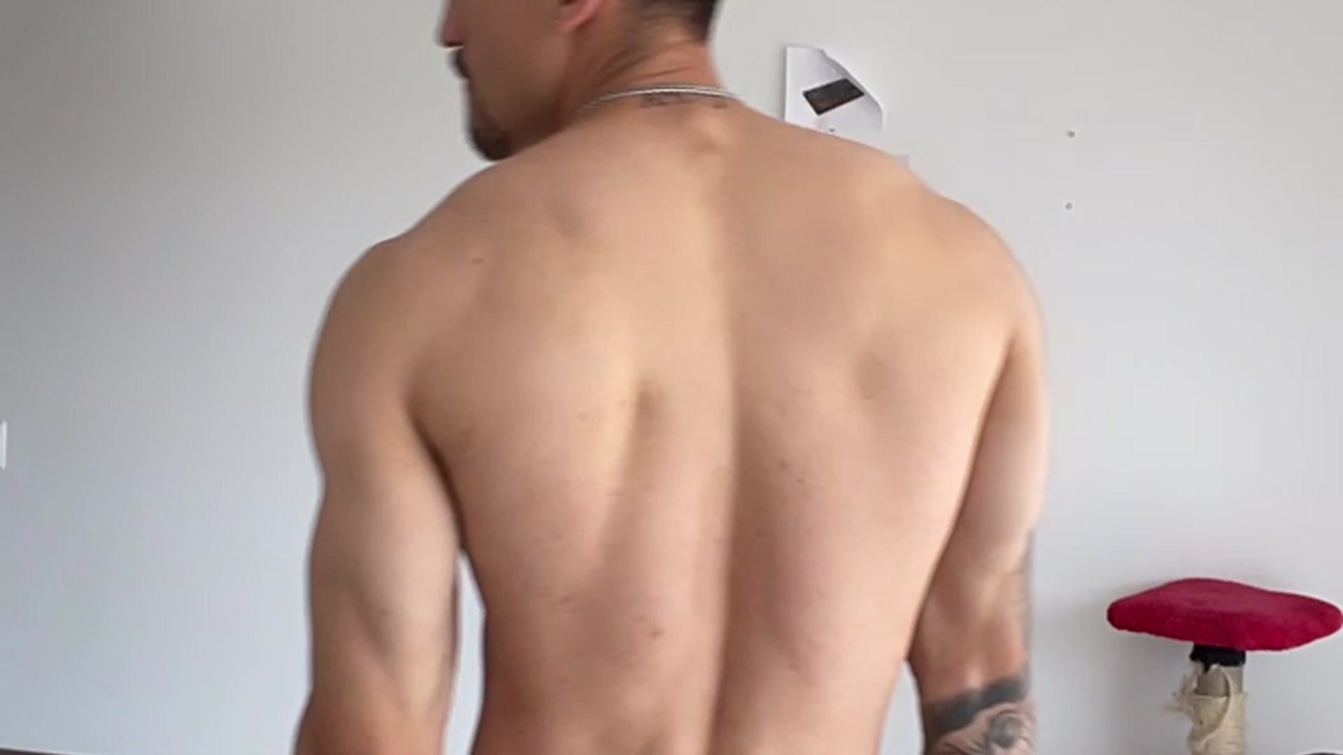 Back check