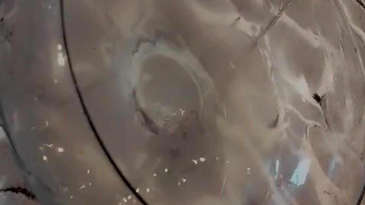 SALIVA AND SQUIRT BODY FLUIDS BOWL - video by LilithBolton