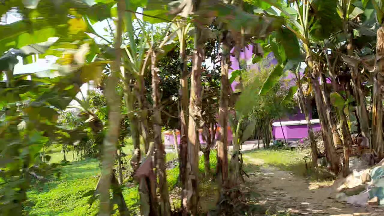 profile-intro-video-1698716628