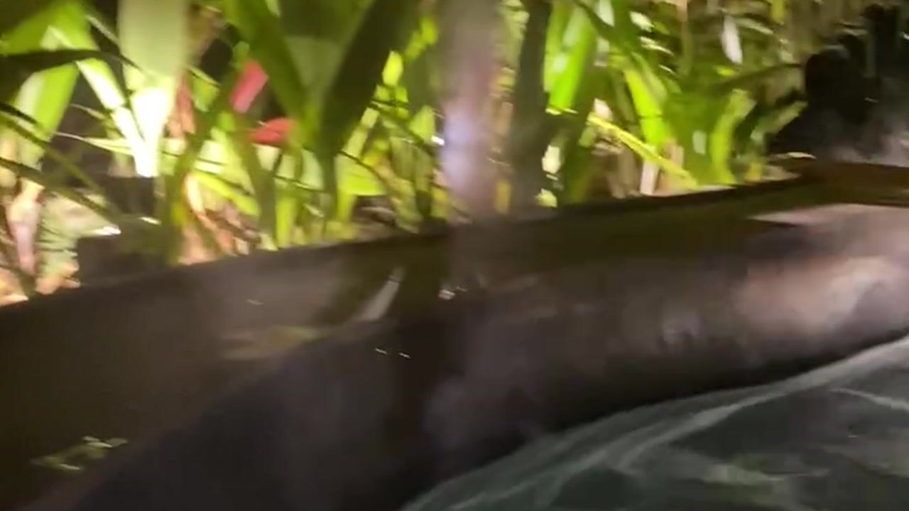 Derek_macol Cam Model Profile | Stripchat