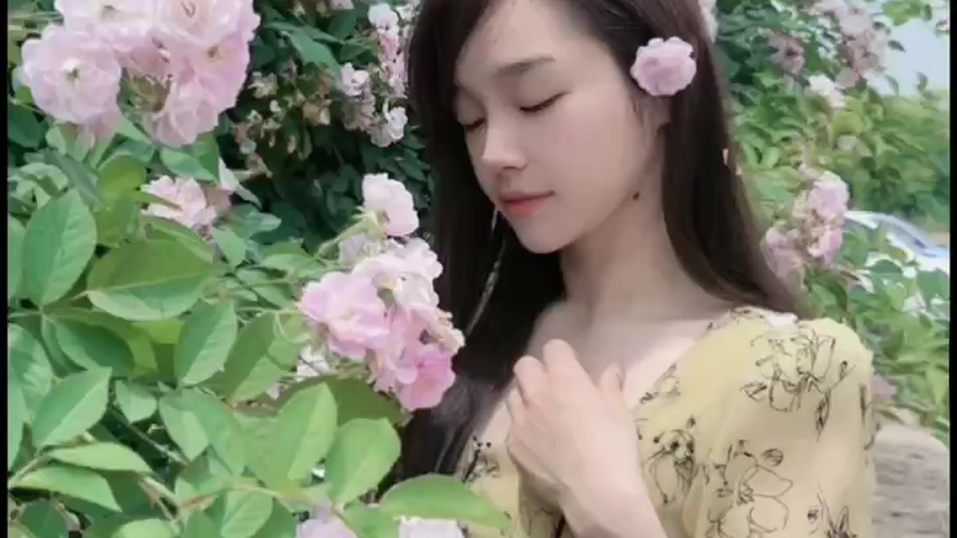 虽然不完美，但是各花自有各花香