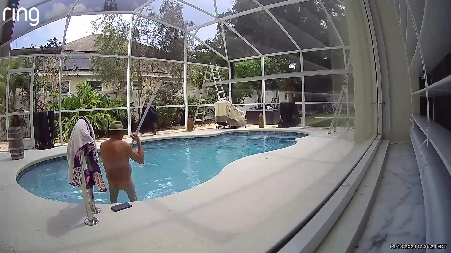 Naked skimming my pool in view of my neighbor windows!