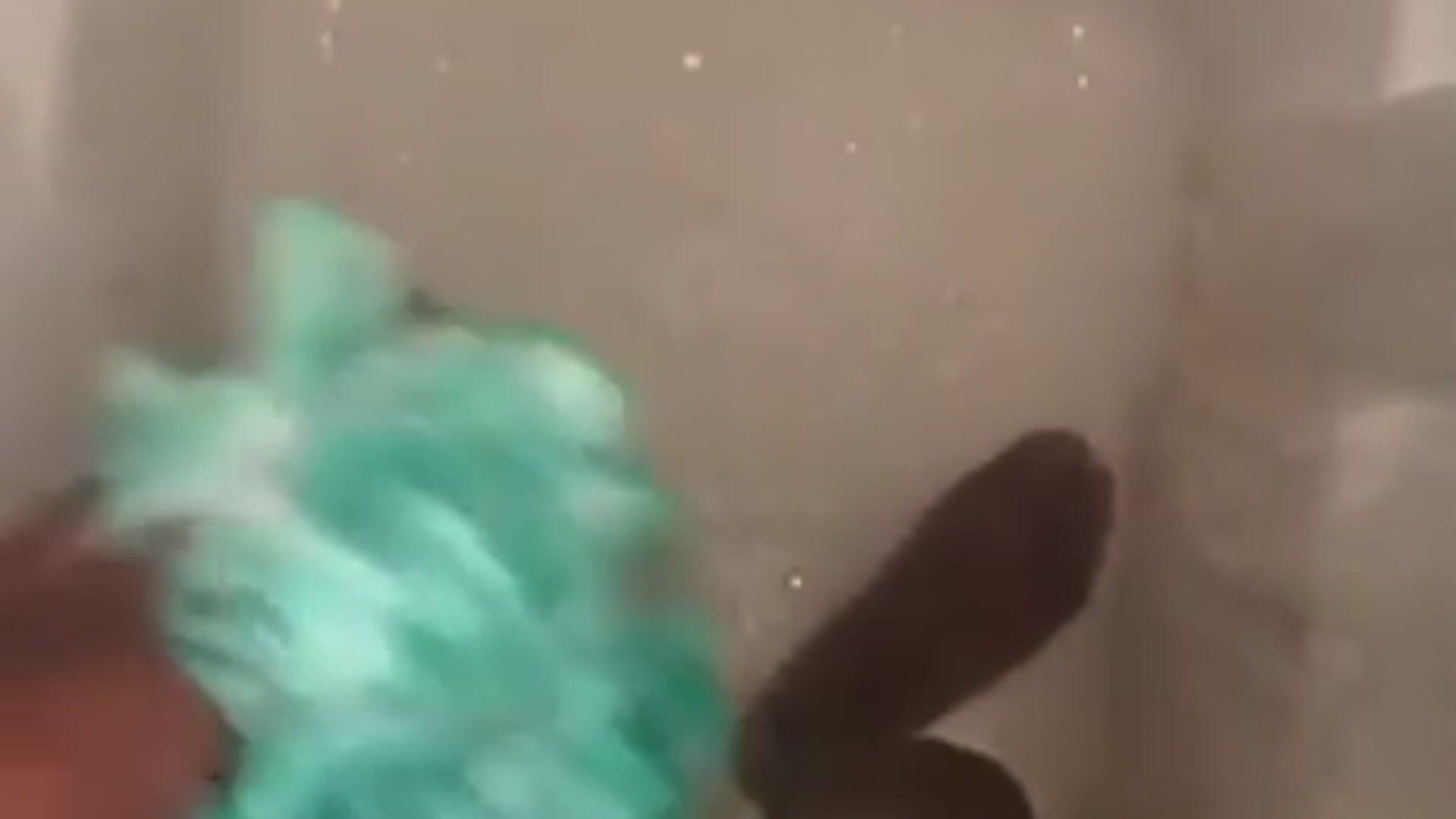 Soapy dick