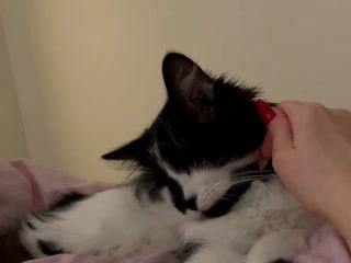I still can't believe that I found his one kitten abandoned on the street - video by Sweet-bb cam model