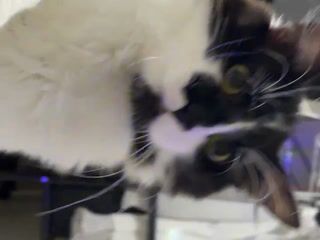 My sweet - video by Sweet-bb cam model