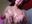 Curves without oiled limits 💌 - video by daniela_moreno- cam model