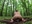 Pregnant in the woods reverse cowgirl squirt and bj HIGHLIGHTS - XXX video by KattyeFox