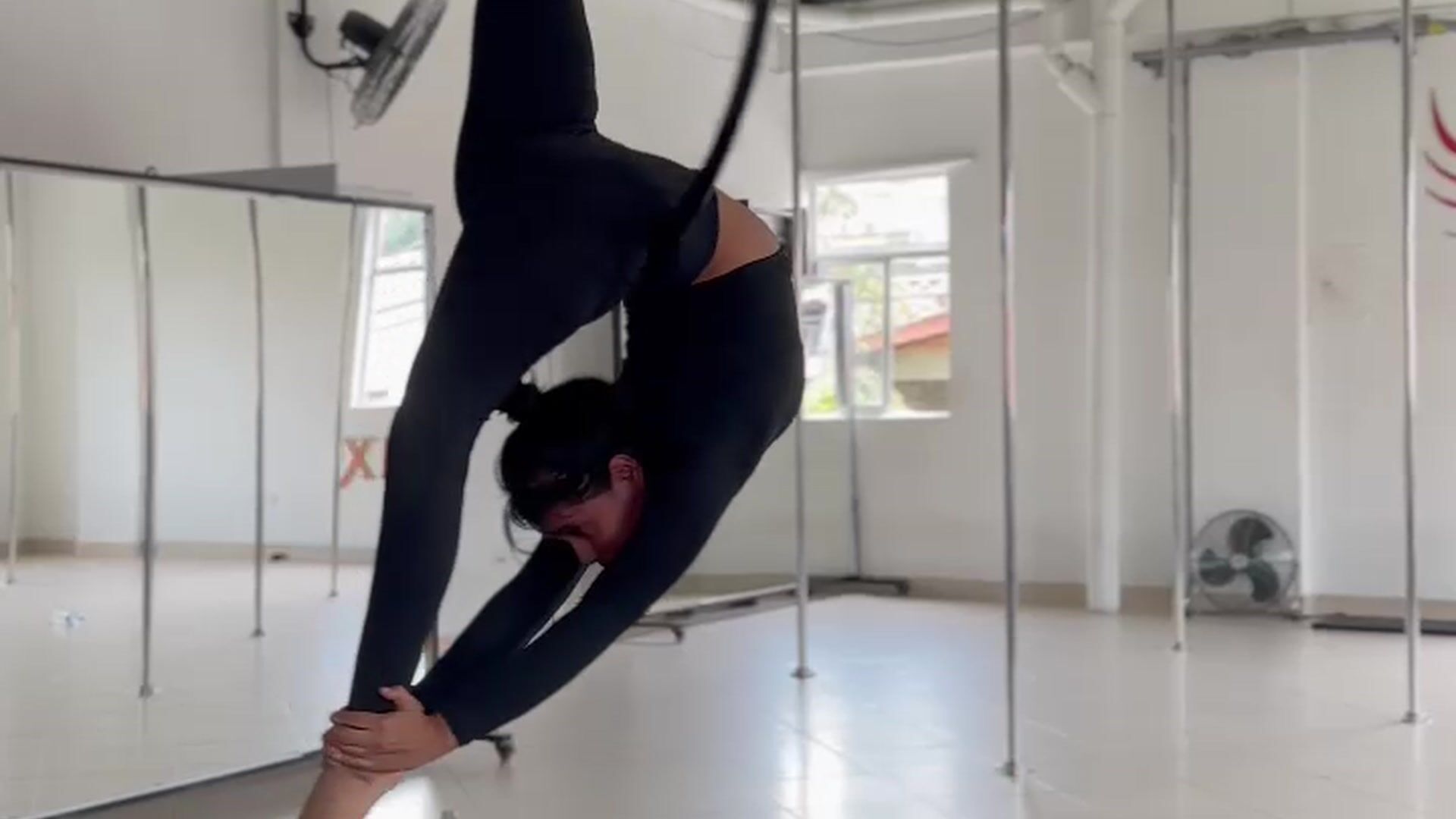 Aerial Hoop