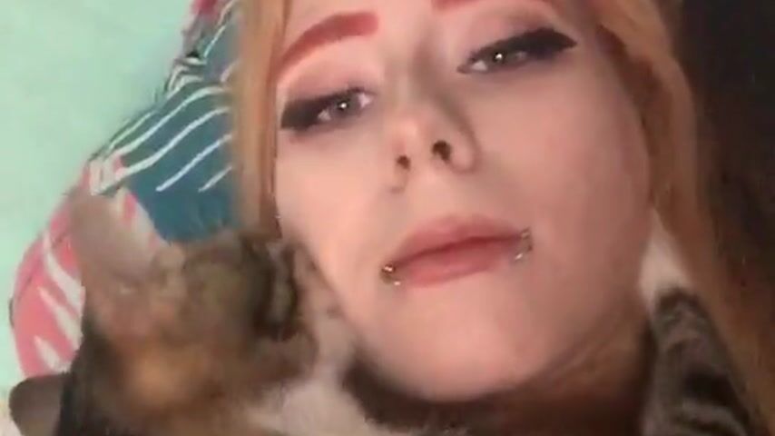 kitty and fox having fun