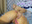 i play with my asshole with black dildo and suck after)))