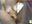 classic masturbation with domi