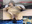 remote control domi, air recording - vídeo de godsgifts1