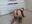 Naughty Kitty - Vídeo +18 de SoCharmingNina
