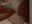 . - video by Ashley-Evans cam model