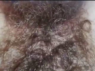 Bush close up (video)