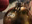 X-Mas Teaser
