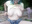 Young webcam model broadcasts in the forest - GloriaEvans 的视频