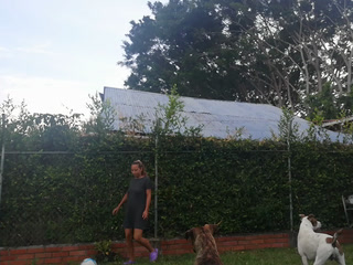 While Quarantine. I tried some football skills, lol while my dogs watching.