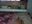 65013090402__3F6D9673-7C48-4021-AC09-28472863496B