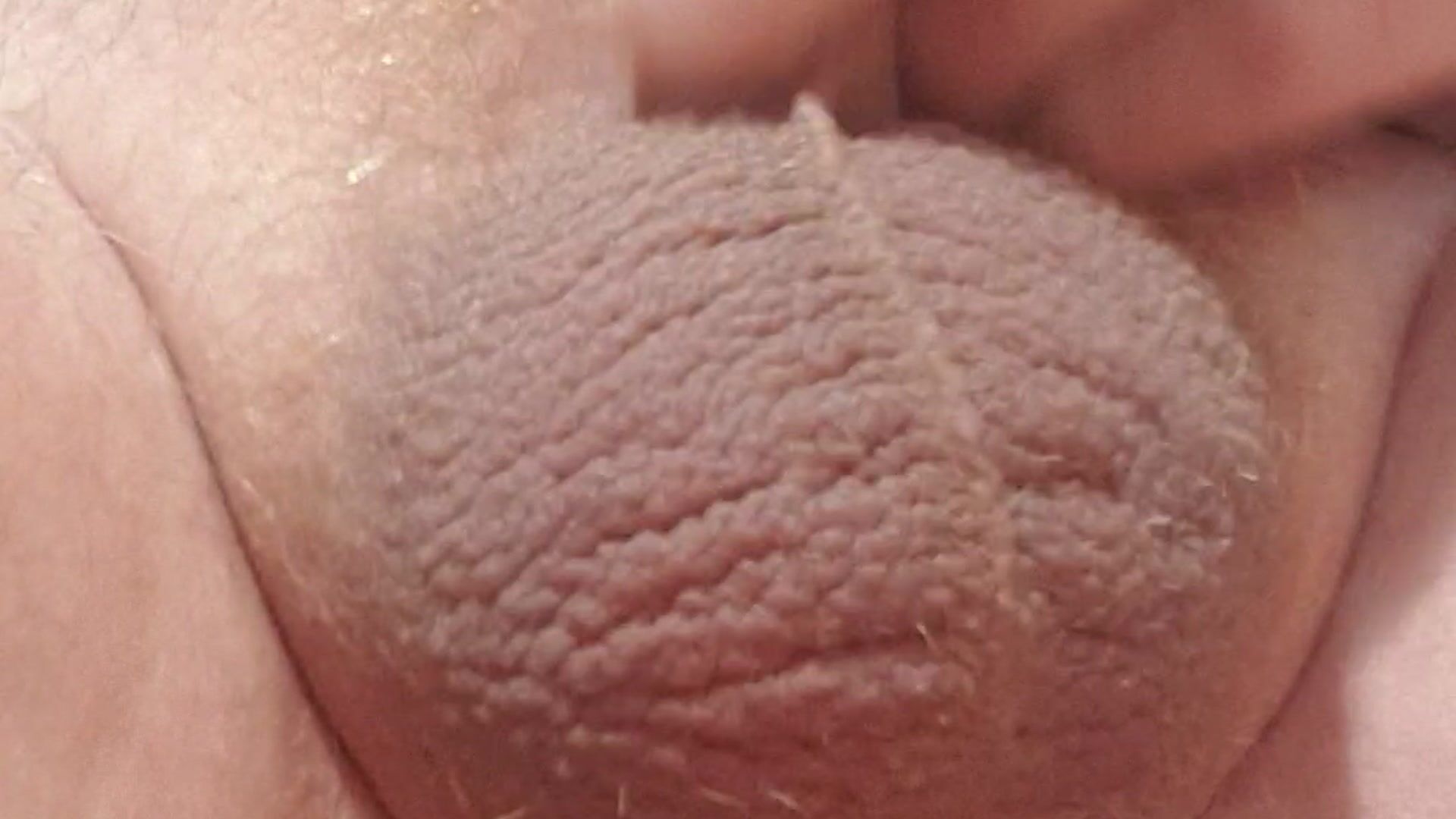 my tiny dick, shaved balls