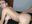 Fuck real cock