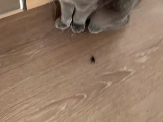 My little one playing with a beetle