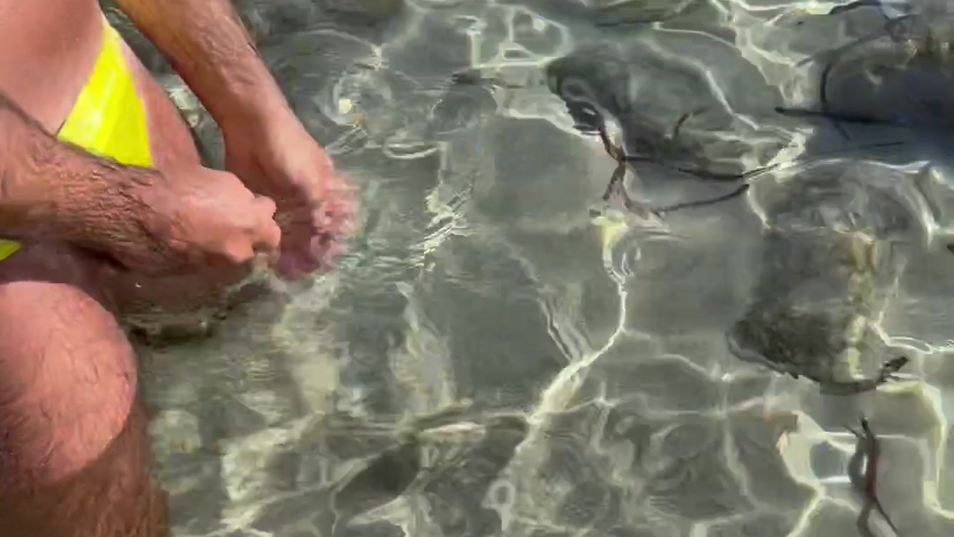 Jerking my dick at the beach with my jock