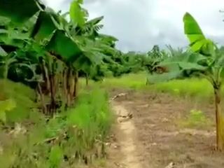Nature u..u