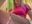 Very wet pussy in a cafe (really wet) - video by Puzdosia cam model