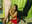Na Sucking Cock Very Deepthroat then Na get's Fucked Doggie Style !!! video 30