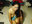 Na Alone Show All Naked Beautiful Body Fucking with Lovense Lush on Pussy Lips !!!
