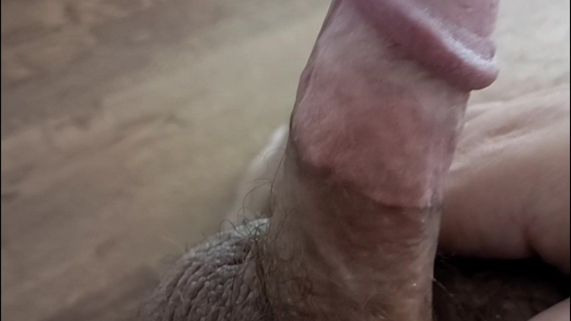 Hard dick closeup