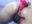 ANAL - CelestteSweett 的XXX视频