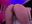 doggy