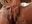 Slowly....washing my hairy pussyyyy - video by cutiepiemaryxx cam model