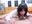 Cock Sucking - video by FUN4TIPS cam model