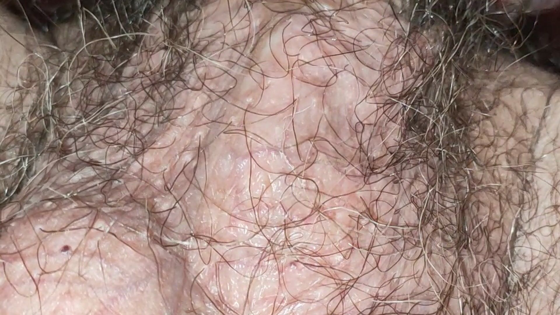 full hairy cock