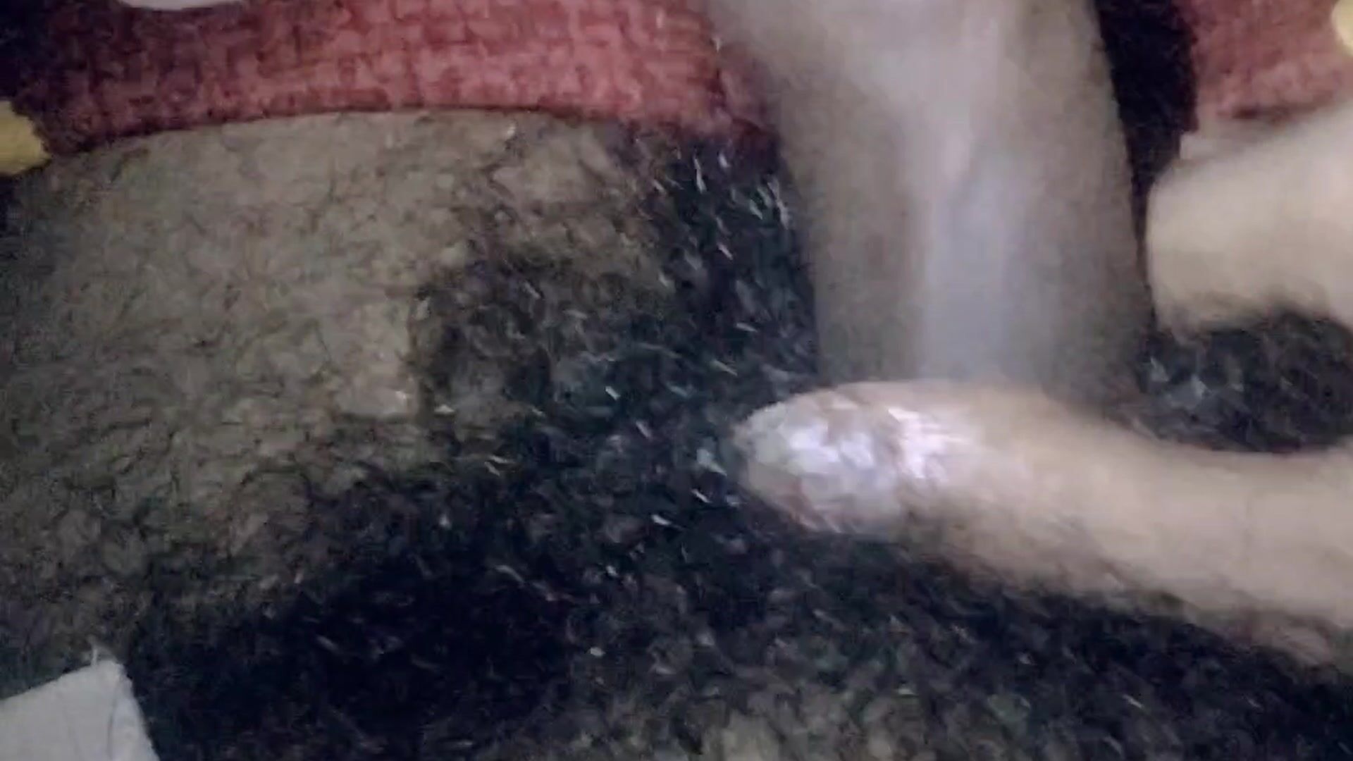 my rough dick jerking close camera cumshot bowl