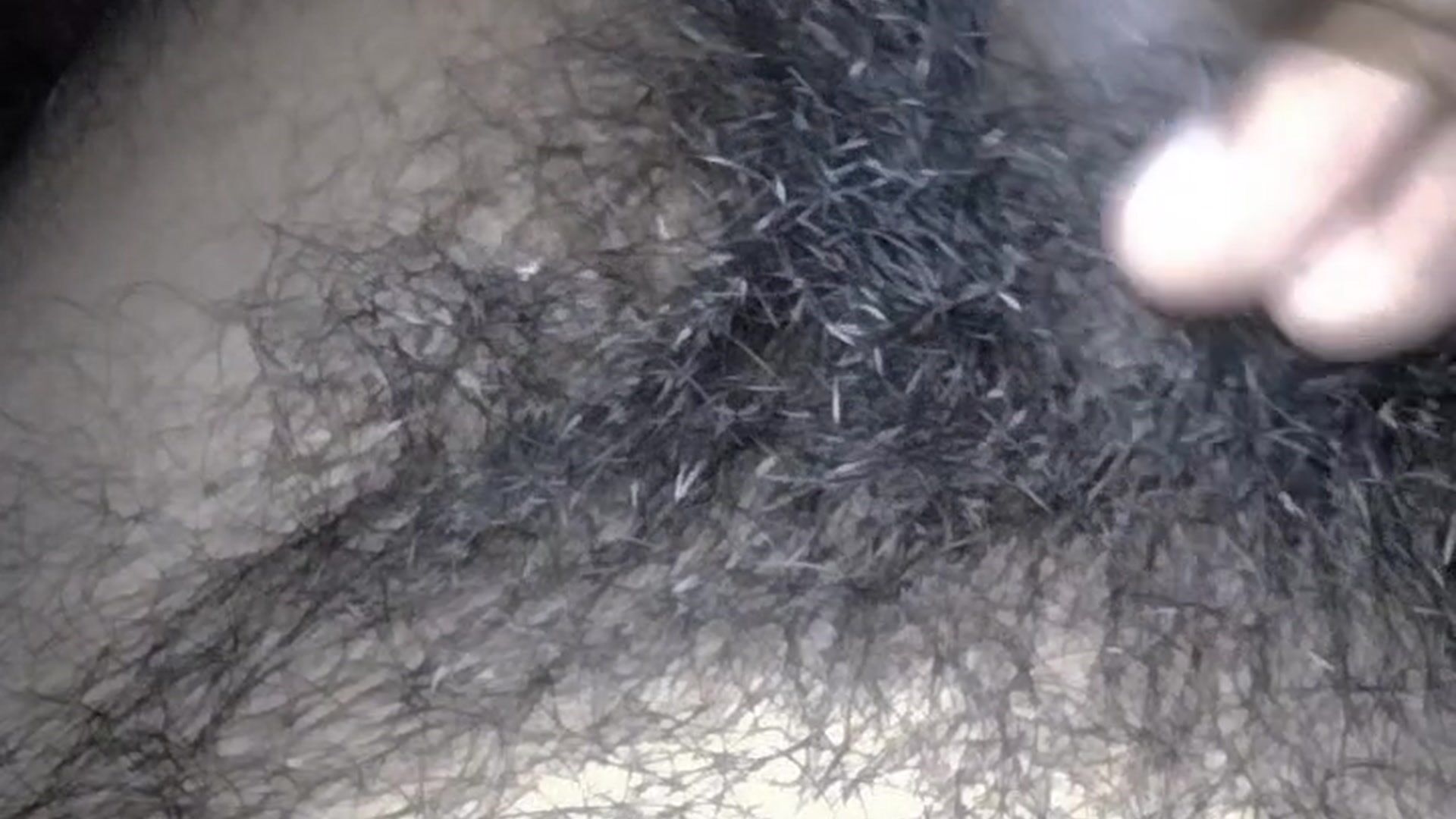 my hairy big cock hardcore jerking hot dick rubb