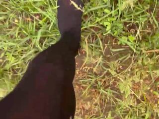 Walk in stockings on wet grass