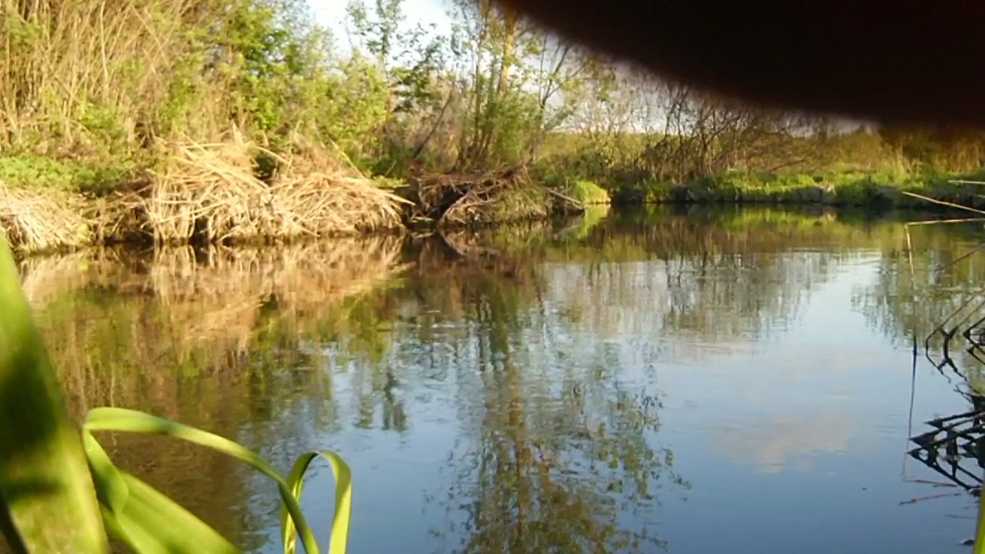 Swimming in jeans and shirt in river on sunset. 16 May 2023. Part 1.