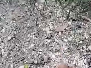 Al aire libre 3