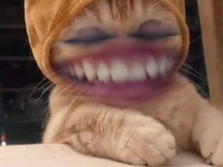 hahahahhahah
